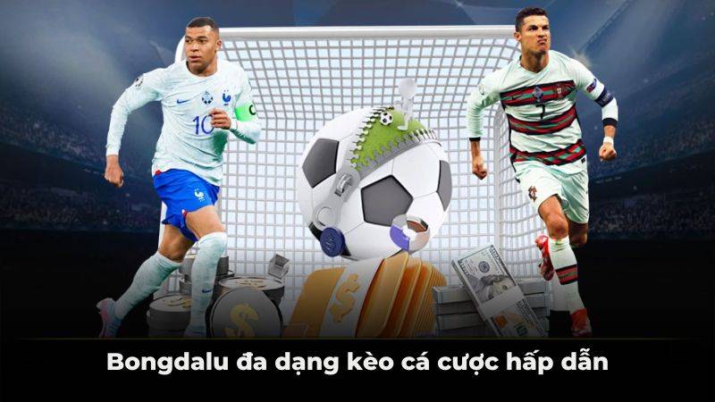 Bongdalu đa dạng kèo cá cược hấp dẫn