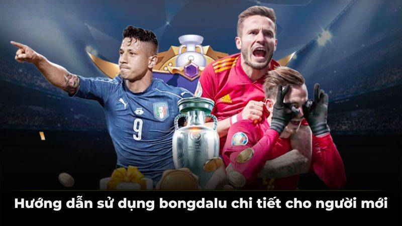 Hướng dẫn sử dụng bongdalu chi tiết cho người mới