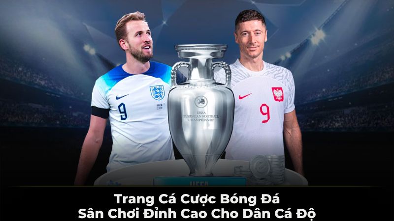 Trang cá cược bóng đá cam kết bảo mật an toàn 